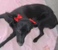 Minnie