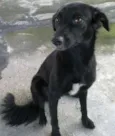Minnie