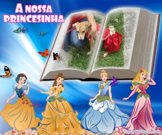 Cachorro ra a SRD idade 7 a 11 meses nome Kiara
