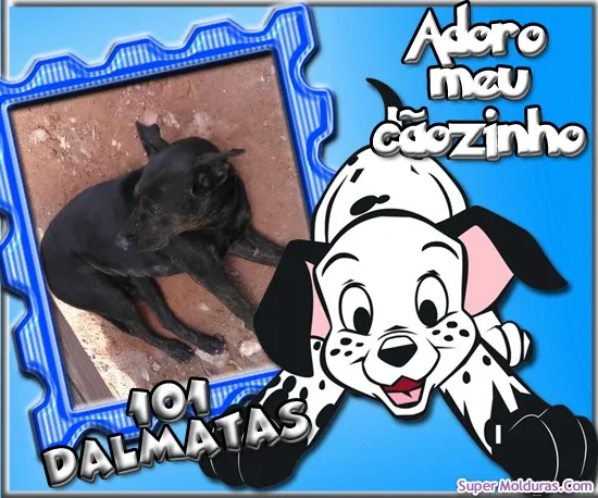 Cachorro ra a SRD idade 1 ano nome SCOOBY