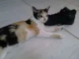 Meg
