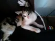 Meg