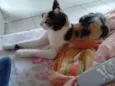 Meg