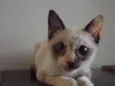 Clara