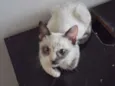 Clara