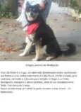 Hugo