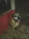 nao sei