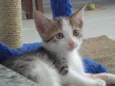 Francisco