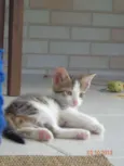 Francisco