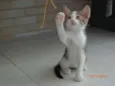 Francisco