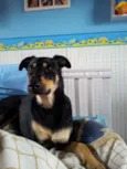 THÉO