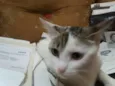 Nina