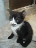 Max e Zyra