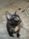 Max e Zyra