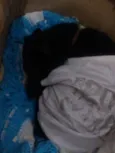 Estrela