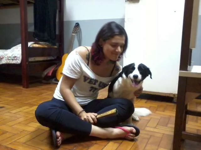 Cachorro ra a SRD idade 2 anos nome Salame