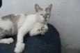 Linda