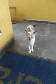 Linda
