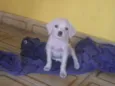 sem nome