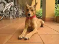 Tuti