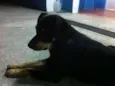 Negão