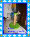Léro