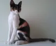 Gita