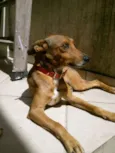 Tuti
