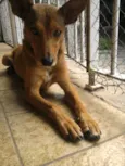 Tuti
