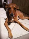 Tuti