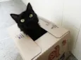 Tina