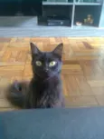 Tina