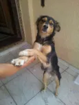 Jhonny e Caramela