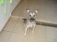 Pérola