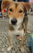 Rex