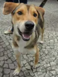 Rex