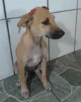 Menina