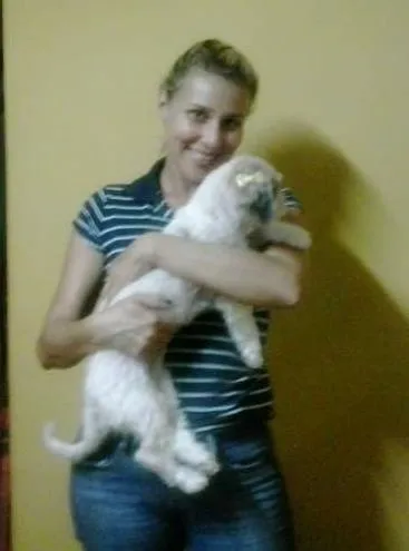 Cachorro ra a Lhasa Apso idade  nome Serenna