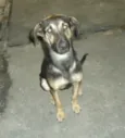 Scooby