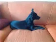 Kira