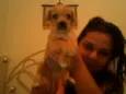 Cachorros
