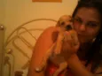 Cachorros