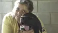 NESTOR