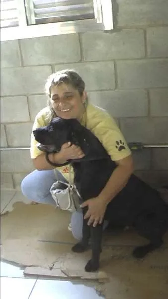 Cachorro ra a MIX DE BOXER idade 1 ano nome NESTOR