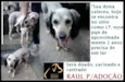 Raul