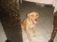 Mel