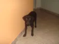 Luck