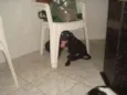 Luck