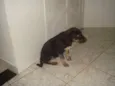 Greg