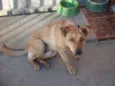 Baltazar